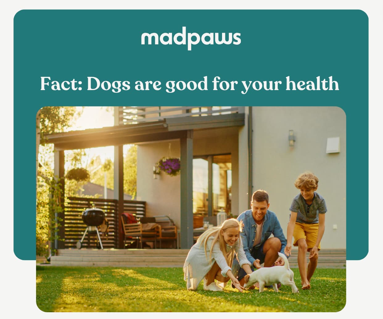 Fact Dogs are Good for Your Health 🐶 Mad Paws