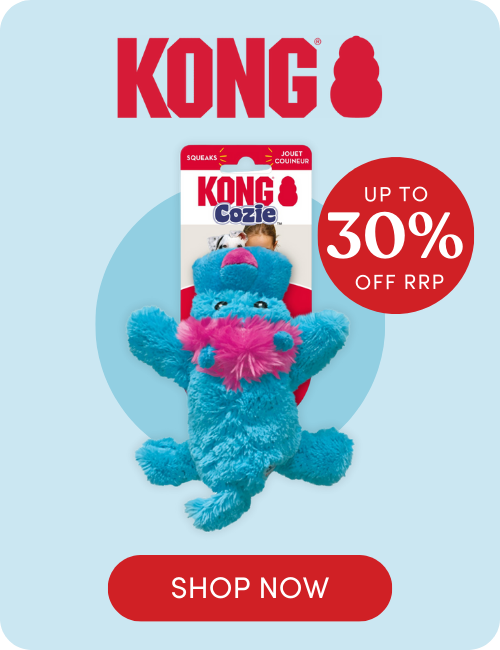 Shop KONG