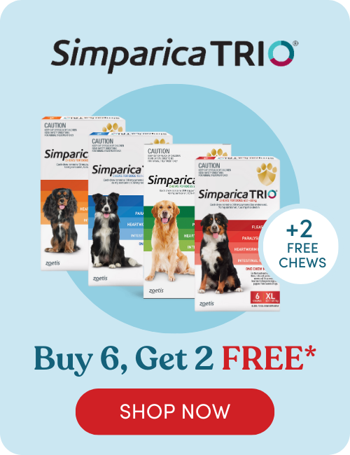 Shop Simparica Trio