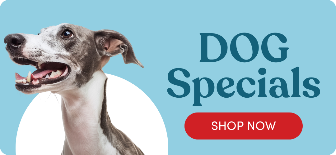 Shop Dog Specials