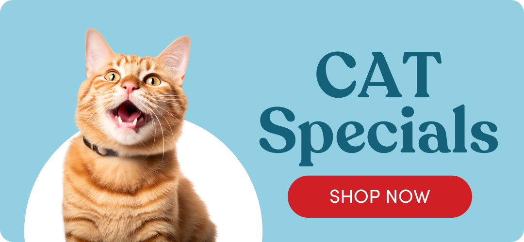 Shop Cat Specials