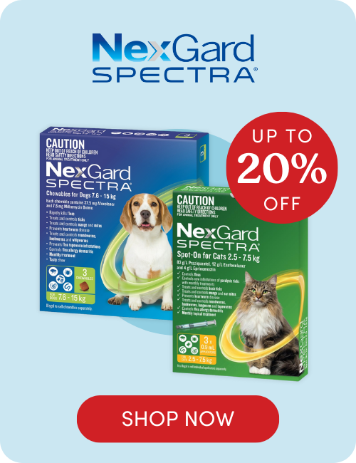 Nexgard Spectra