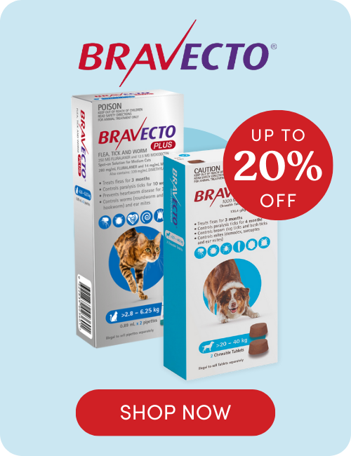 Shop Bravecto