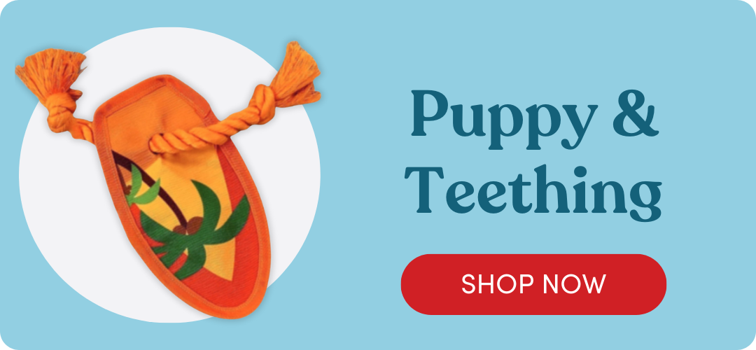 Shop Puppy & Teething