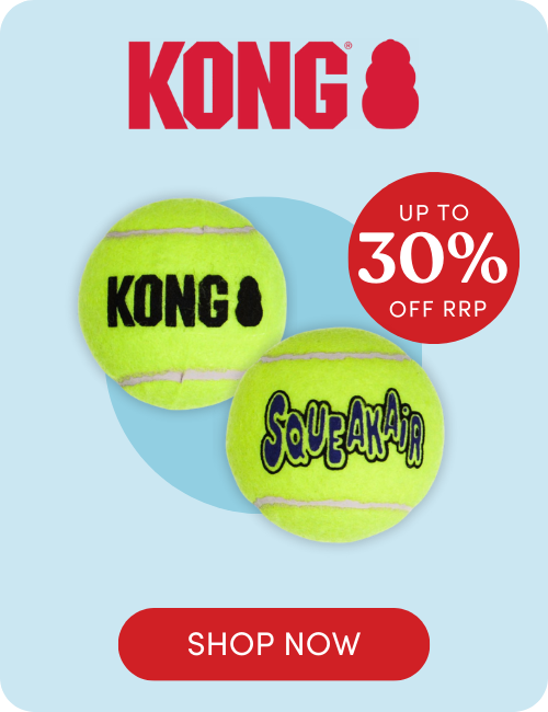 Shop KONG