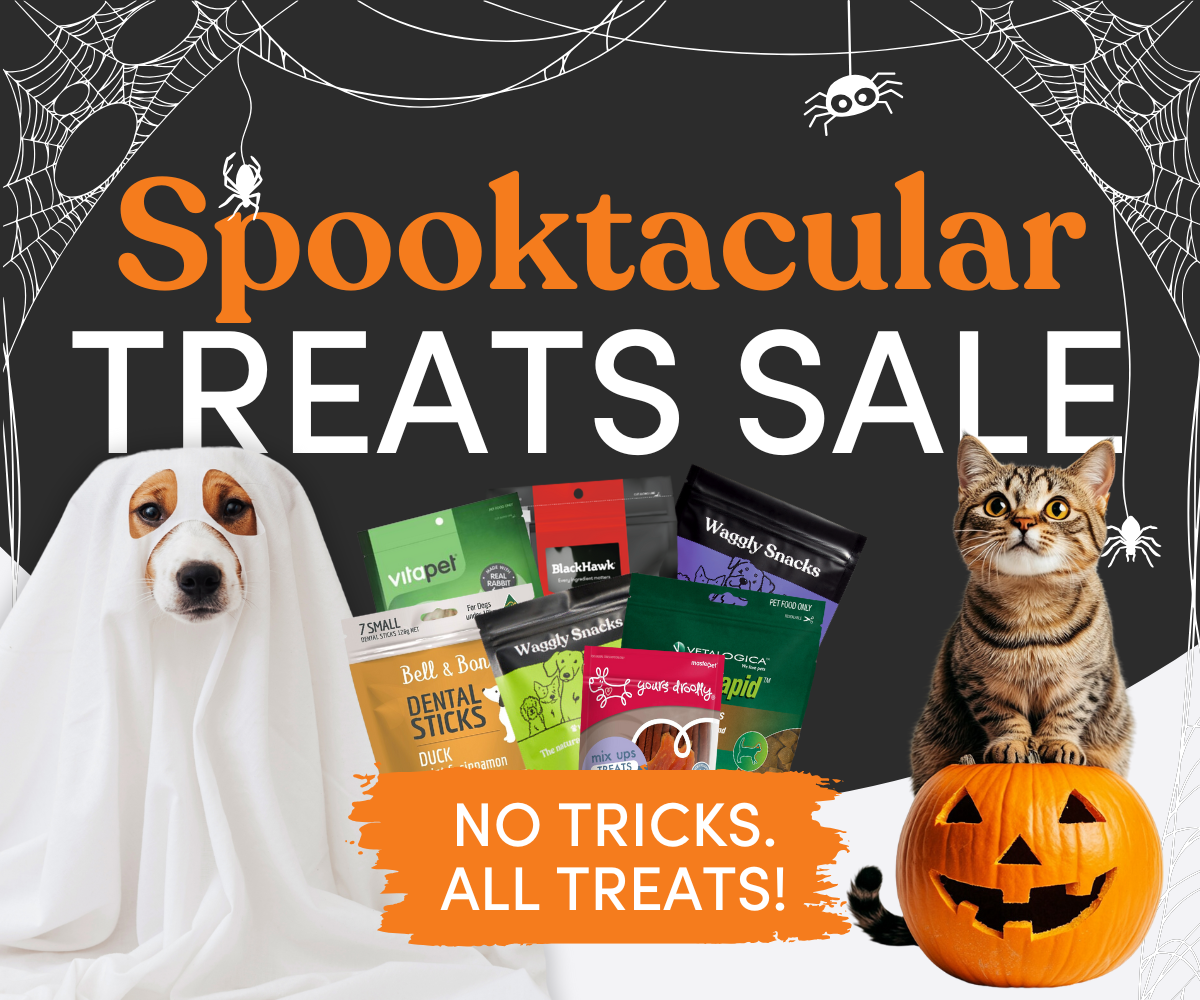 Spooktacular Treats Sale