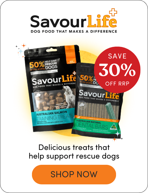 Shop SavourLife treats