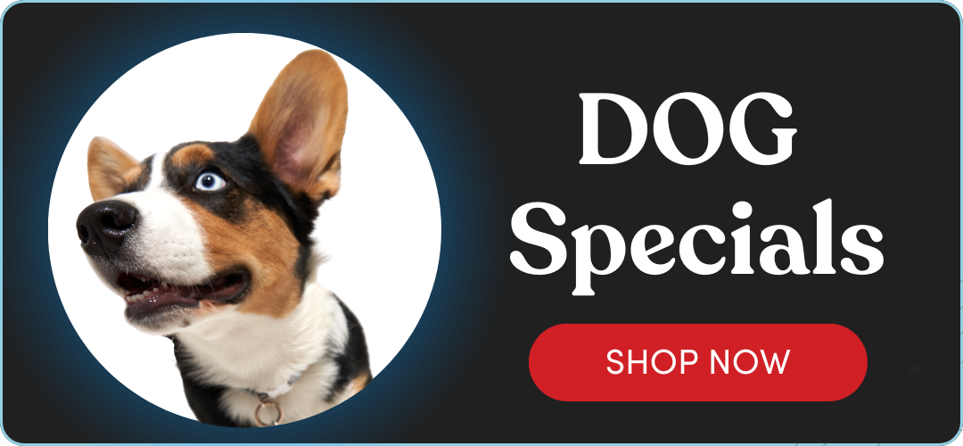 Shop Dog Specials