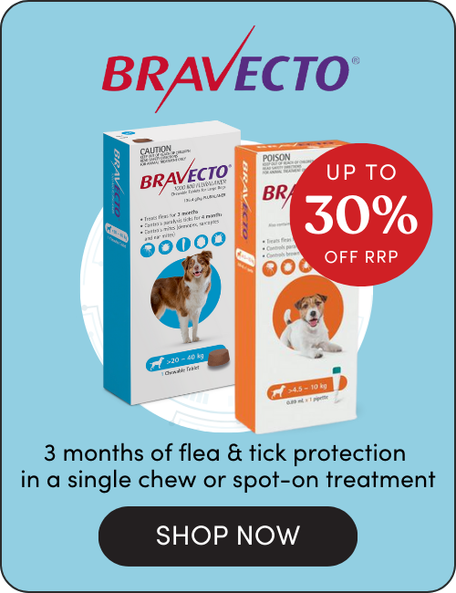 Shop Bravecto