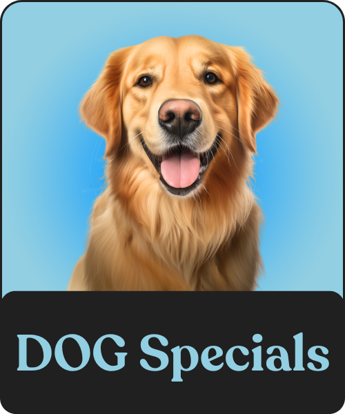 Shop Dog Specials