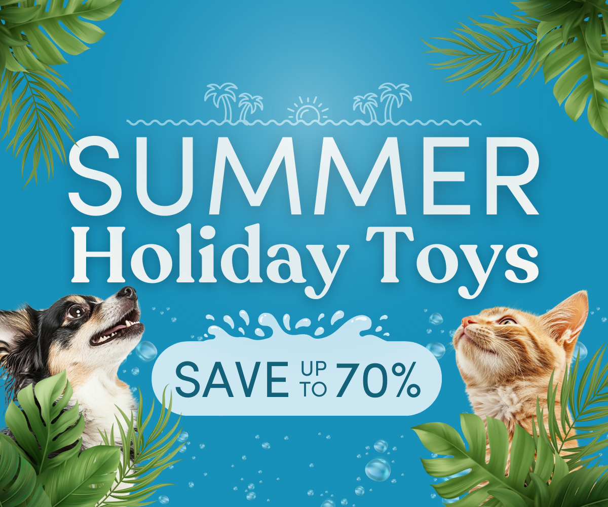 Summer Holiday Toys Sale | up to 70% OFF