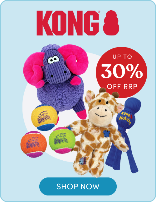 Shop KONG toys