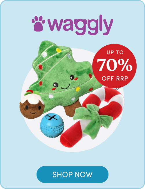 Shop Waggly toys & accessories