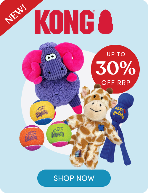 Shop KONG