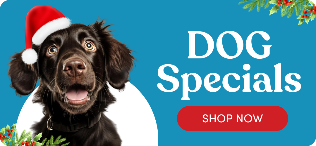 Shop Dog Specials