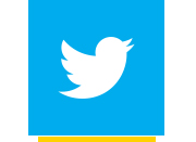 Twitter linked logo