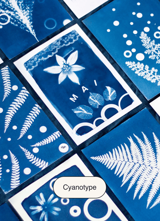 Nos ateliers cyanotype