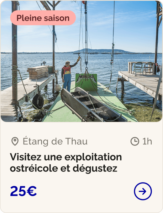 Visitez une exploitation ostréicole et dégustez
