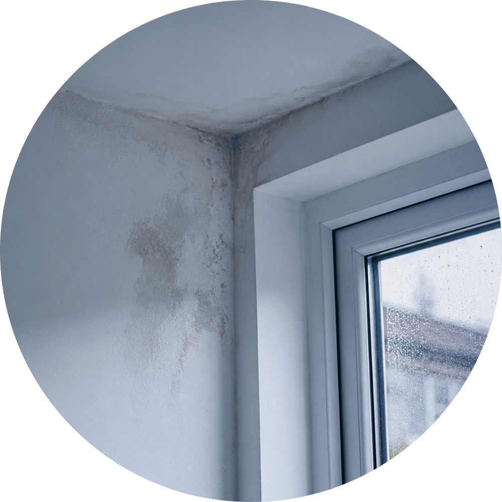 Damp patch inside a home