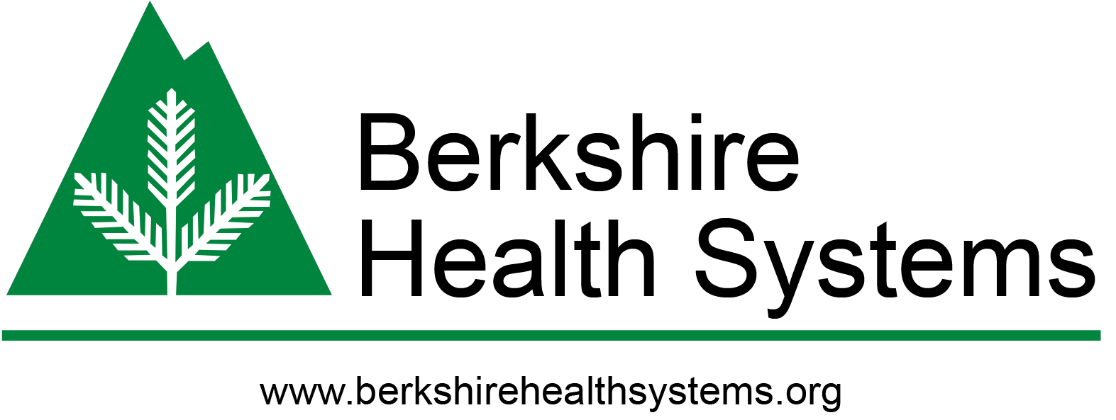 Berkshire Health Systems