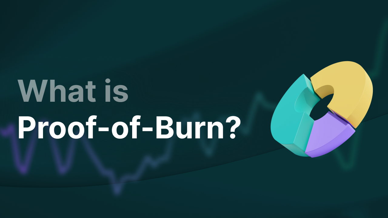 Todo sobre Proof-of-Burn