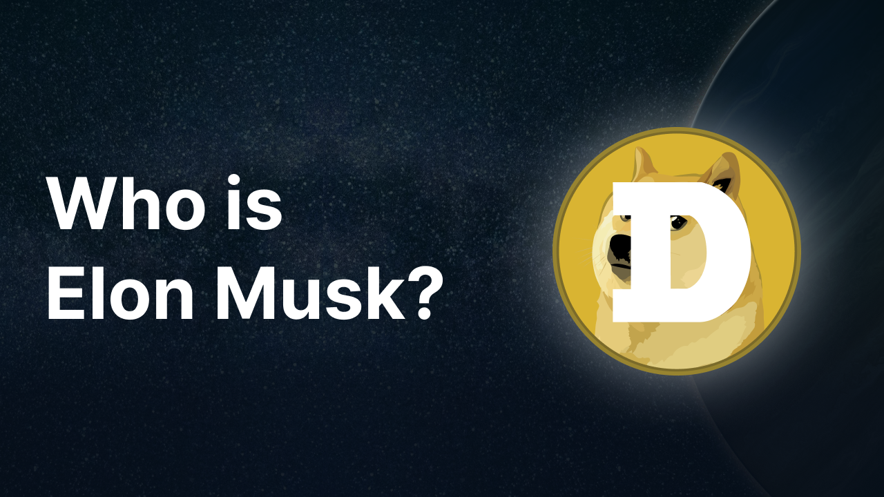 Who is Elon Musk and why does he have so much influence on crypto?