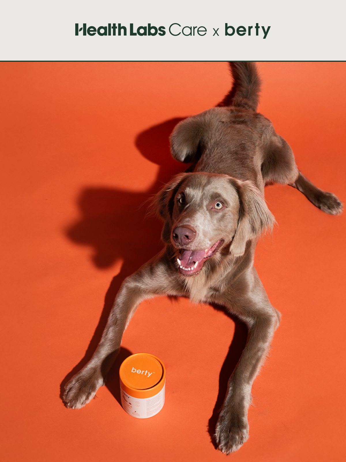 Health Labs Care x berty