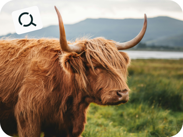 Discover - Senja in Norway