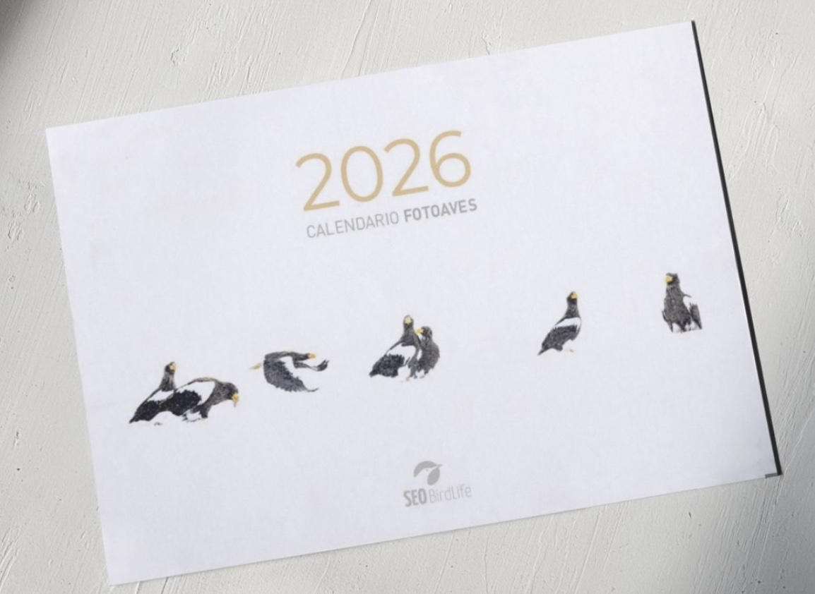 Imagen de la portada del calendario.