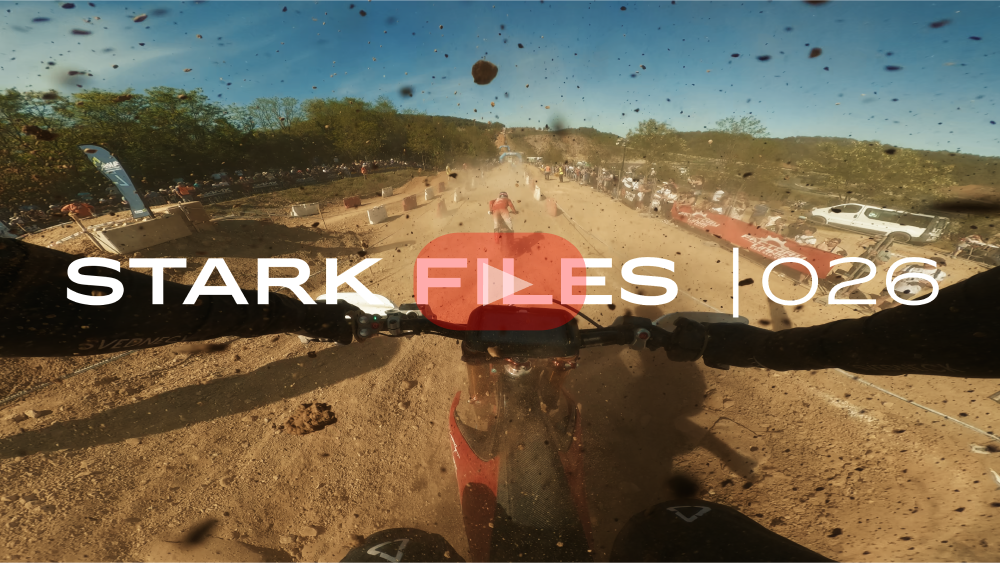 Stark Files 026 Preview