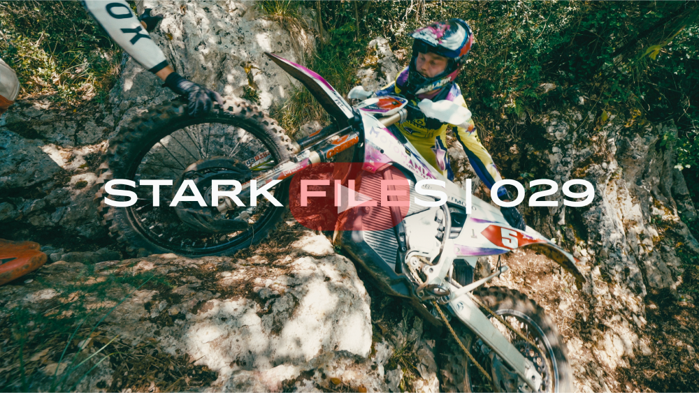 Stark Files 029 Preview