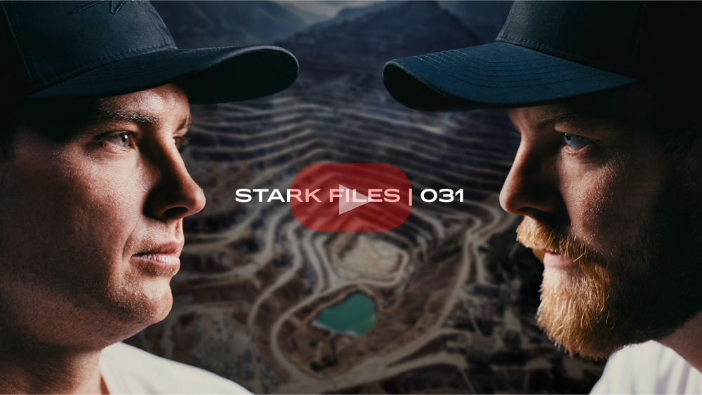 Stark Files 031 Preview