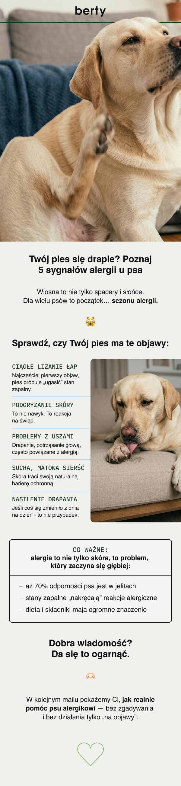 Twój pies się drapie? Poznaj 5 sygnałów alergii u psa Wiosna to nie tylko spacery i słońce. Dla wielu psów to początek… sezonu alergii. </div><script type=