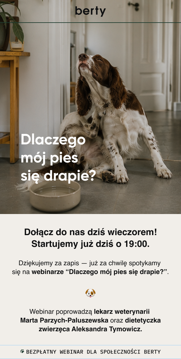 berty Dlaczego mój pies się drapie? Dołącz do nas dziś wieczorem! Startujemy już dziś o 19:00. Dziękujemy za zapis — już za chwilę spotykamy się na webinarze “Dlaczego mój pies się drapie?”. </div><script type=