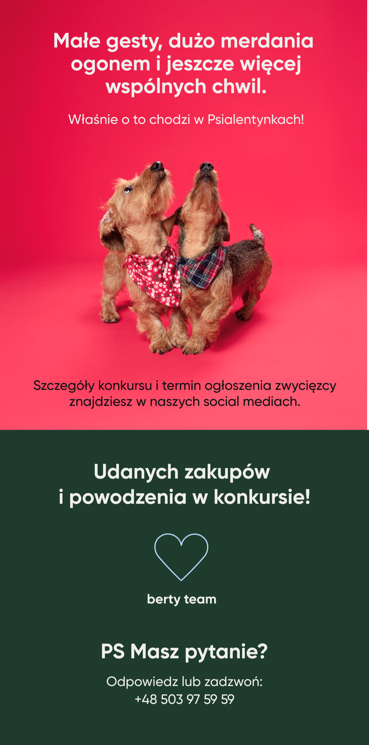 Małe gesty, dużo merdania ogonem i jeszcze wiecej wspólnych chwil. Właśnie o to chodzi w Psialentynkach! Szczegóły konkursu znajdziesz w naszych social mediach. Udanych zakupów i powodzenia w konkursie!
