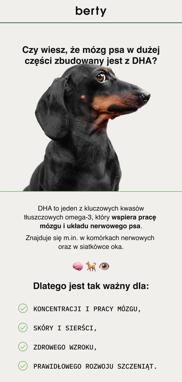 Czy wiesz, że mózg psa w dużej części zbudowany jest z DHA? DHA to jeden z kluczowych kwasów tłuszczowych omega-3, który wspiera pracę mózgu i układu nerwowego psa. Znajduje się m.in. w komórkach nerwowych oraz w siatkówce oka. Dlatego jest tak ważny dla: KONCENTRACJI I PRACY MÓZGU, SKÓRY I SIERŚCI, ZDROWEGO WZROKU, PRAWIDŁOWEGO ROZWOJU SZCZENIĄT.